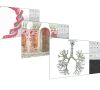 bioresonance